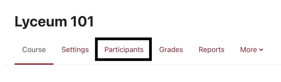 Lyceum Participants tab